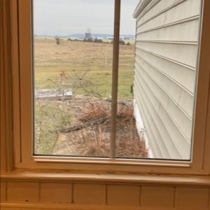 Meet your Posher, Cecilia